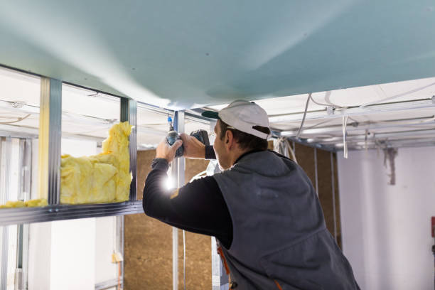 Best Energy-efficient Insulation  in Tahoma, CA