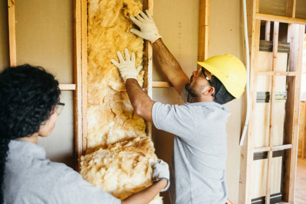 Best Insulation Contractor Near Me  in Tahoma, CA