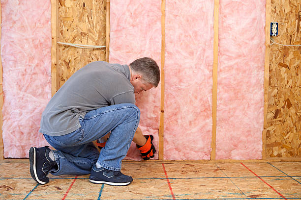 Best Spray Foam Insulation  in Tahoma, CA